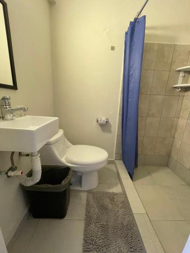 a bathroom with a toilet and a sink and a shower at Colmena Hotel CDMX Tonala in Mexico City