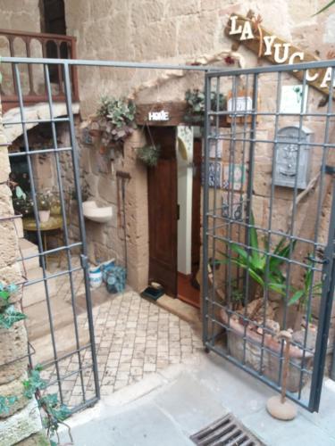 LA YUCCA – Photos 2