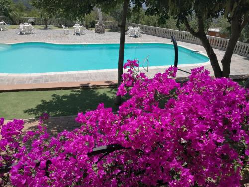 Piscina en o cerca de Agriturismo Vemi