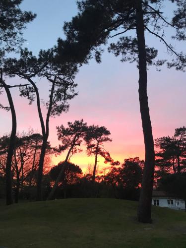 een zonsondergang gezien door bomen in een veld bij Les Pastourelles in Capbreton