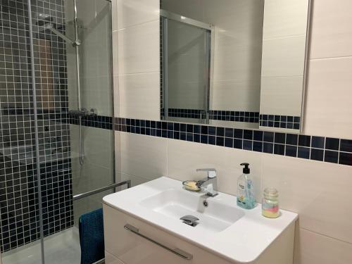 a bathroom with a sink and a shower and a mirror at SG Apartamentos LA CASA DE LA CATEDRAL VUT47-240 in Valladolid