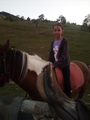a young girl is sitting on a horse at Romantika in Šavnik