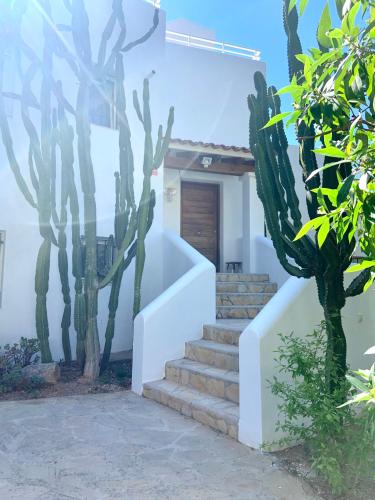 Luxury Ibiza Villa by the Sea, Santa Eularia des Riu ...