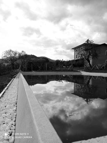 a pool of water in front of a house at Viale dei Ciliegi in Alvito
