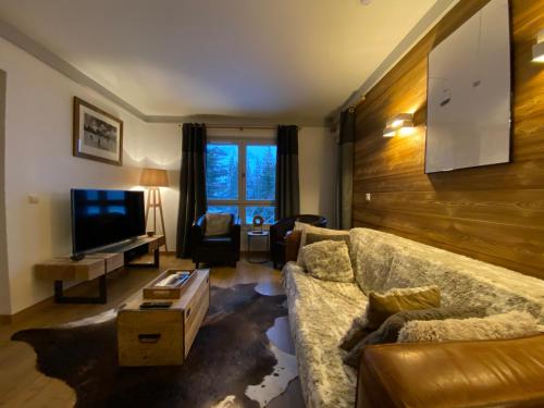 a living room with a couch and a tv at Superbe appt 2 chambres Arc 1950 in Arc 1950