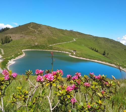 a view of a lake on a hill with flowers at Sonnenappartements Madlstatthof in Wildschönau