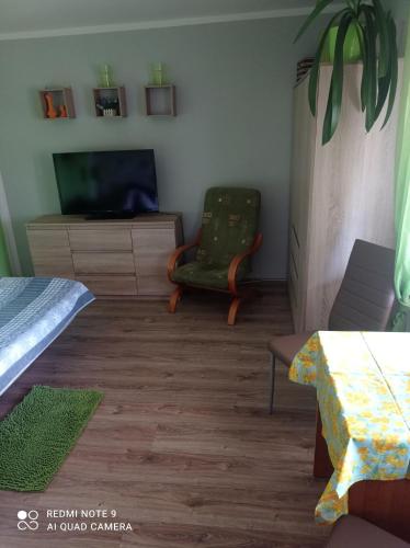 a living room with a tv and a couch and a chair at Pokój w domku na mazurach ROGALE in Stare Juchy