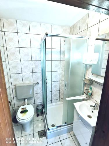 a bathroom with a shower and a toilet and a sink at Albert Apartaments Krk in Krk