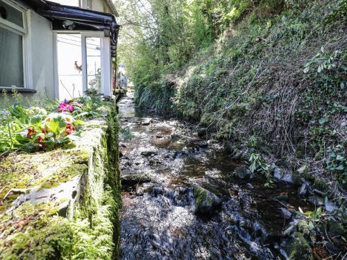 a stream next to a house with flowers next to it at Small Piece in Minehead