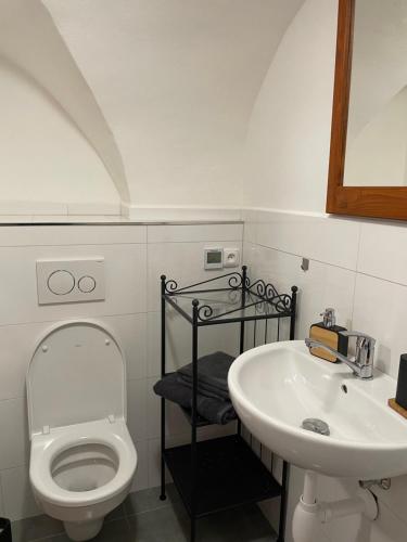 a bathroom with a toilet and a sink at Apartmany u Synagogy in Třebíč