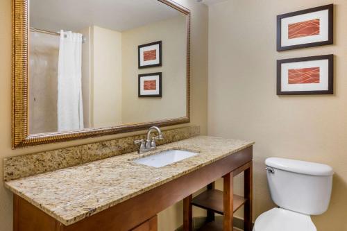 Bathroom sa Comfort Inn International Drive