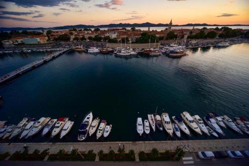 an aerial view of boats docked in a harbor at Aurora & Tramonto in Zadar
