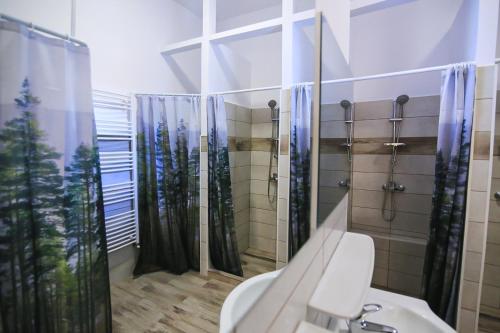 a bathroom with a shower and a toilet and a sink at Viva la Vida Hostel in Braşov