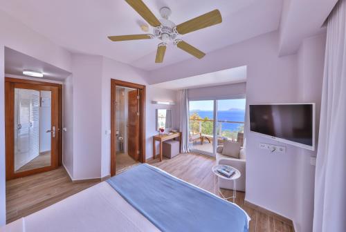 Телевизор и/или развлекательный центр в Olea Nova Hotel