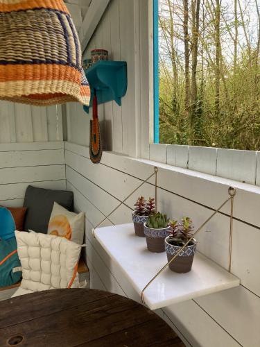 a porch with potted plants on a table and a window at The Old Flour Mill in Broadway