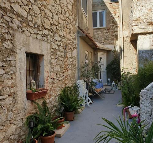 Apartments Milin by the sea-Zadar-Diklo