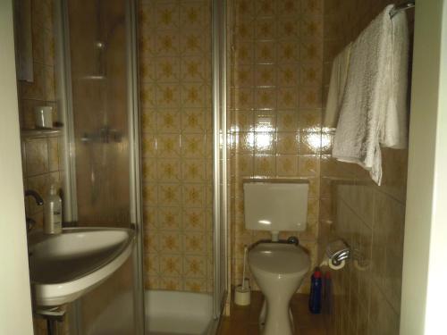 a bathroom with a sink and a toilet and a shower at Haus Amalia in Strobl