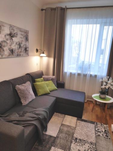 a living room with a couch and a window at Majaka Apartment in Tallinn