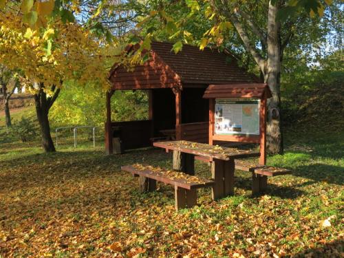 a picnic shelter with benches in a park at TITI House in Bakonykoppány