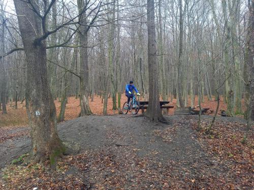 a person riding a bike in the woods at TITI House in Bakonykoppány