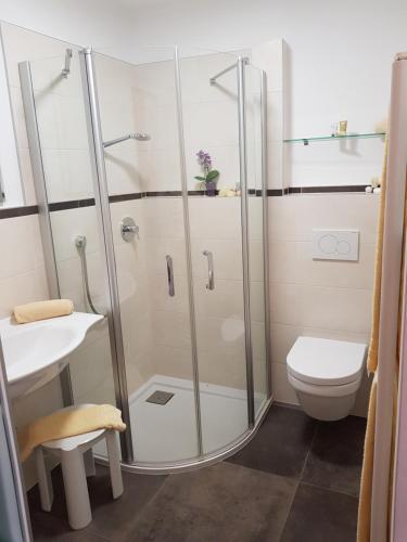 a bathroom with a shower and a toilet at Pension Gartscheid in Lana