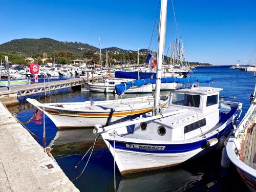un groupe de bateaux amarrés dans un port dans l'établissement Bord de mer aux Pins Penchés, à Carqueiranne