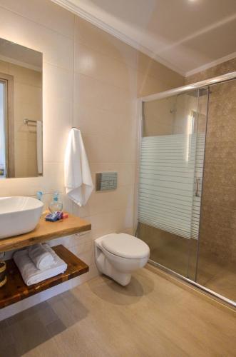 a bathroom with a toilet and a sink and a shower at Meltemi Studios in Vasiliki