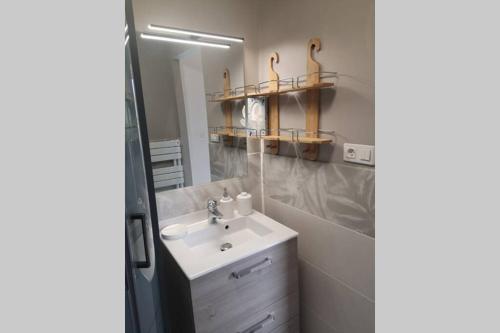 une salle de bain avec un lavabo et un miroir dans l'établissement Gite Marigot, à Bazincourt-sur-Saulx