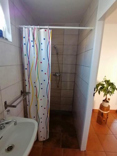 a bathroom with a shower with a shower curtain at Domek Stary Bar in Piecki