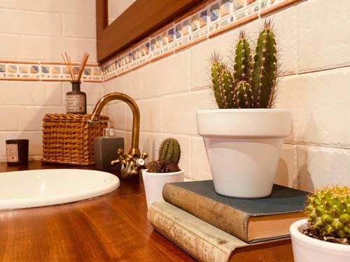 Fotografie z fotogalerie ubytování La casa del Riu Vell v destinaci Sant Jaume d'Enveja