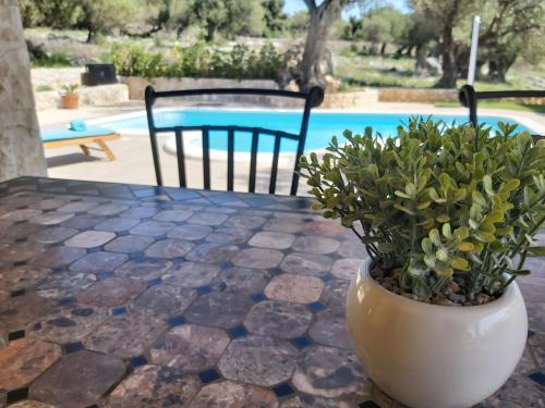Πισίνα στο ή κοντά στο Villa Paula