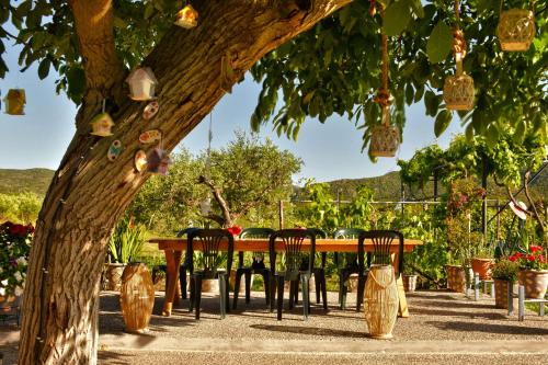 a table and chairs sitting under a tree at Ktima Mimoza in Sikia