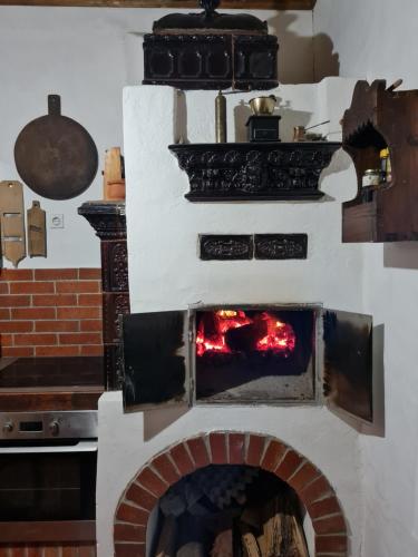a brick oven with a fire inside of it at Balajceva domačija - Moravske Toplice in Moravske Toplice