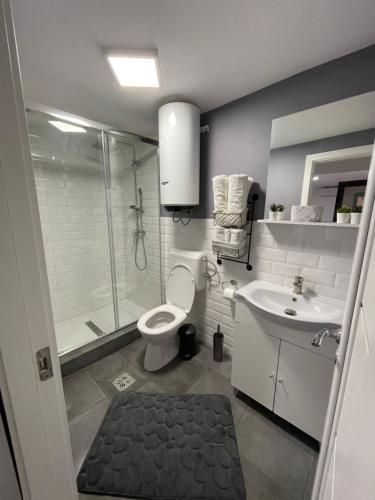 a bathroom with a shower and a toilet and a sink at Aruba in Jupiter