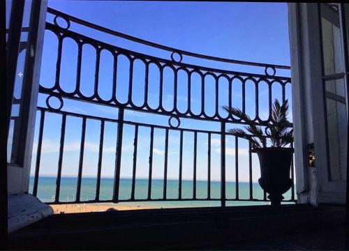 a plant in a vase on a window with a view at Moray Hastings in Hastings