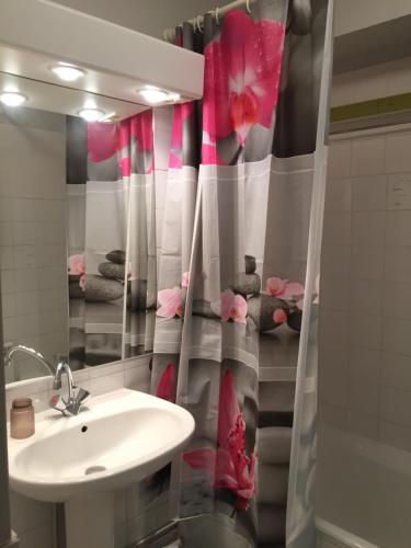 a bathroom with a sink and a shower curtain with pink flowers at LE CLOS du LAC STUDIO TERRASSE JARDIN et cave Vélos fermée RDC in Annecy