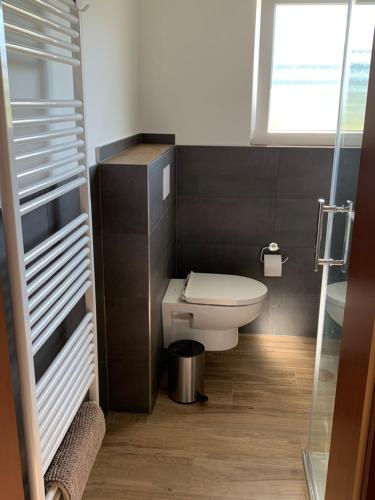 a small bathroom with a toilet and a window at Fewo Moselblick in Traben-Trarbach