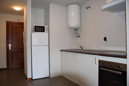 a kitchen with a white refrigerator and a microwave at La Fuente de la Quintana in Arredondo