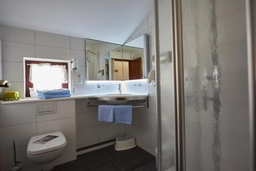 a bathroom with a sink and a toilet and a mirror at Room and kitchen im Katerberg in Ahlefeld