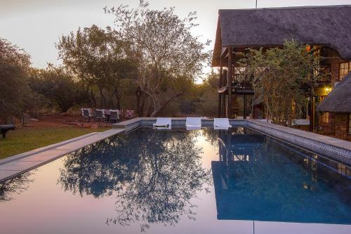 Bazén v ubytování Imbube Safari Lodge nebo v jeho okolí