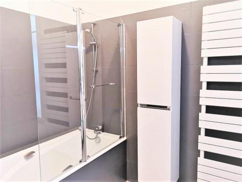 uma casa de banho com um chuveiro e um lavatório. em Greyhound - Grand Appartement centre-ville em Soissons