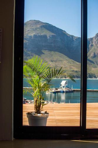 a potted plant in a window with a view of the water at Best Place Ever in Hout Bay