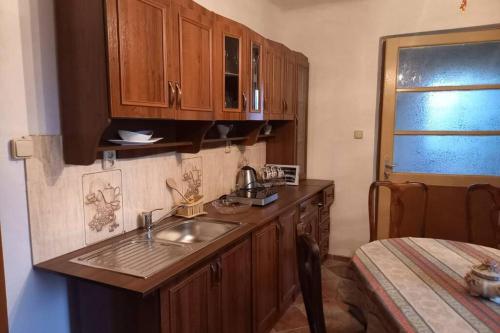 a kitchen with a sink and wooden cabinets at Vila pod Ještědem in Liberec