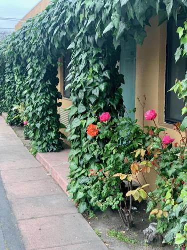 a ivy covered building with pink roses on it at Monterey Oceanside Inn in Monterey