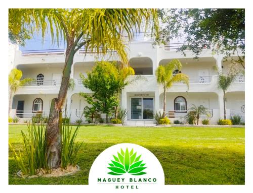 Zahrada ubytování Hotel Maguey blanco