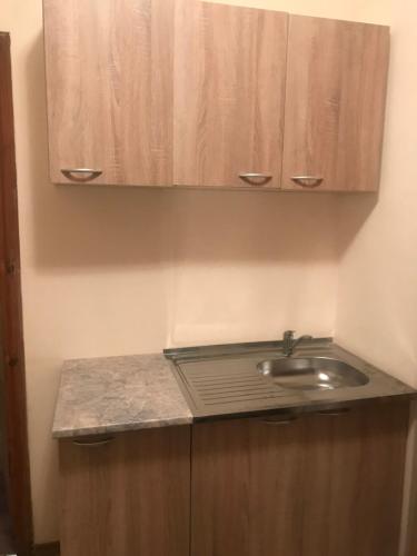 a bathroom counter with a sink and wooden cabinets at ArArAt-HOLOSIIVSKYI Hostel KYIV in Kyiv