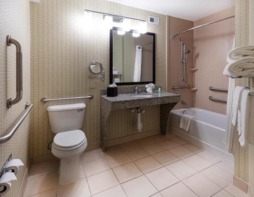 a bathroom with a toilet and a sink and a tub at Holiday Inn St. Louis Airport West Earth City by IHG in Earth City