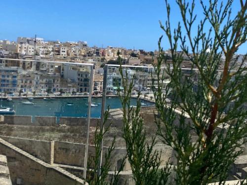 a view of a harbor with buildings in the background at Casa Cara in Birgu
