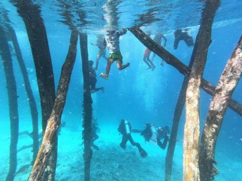 un gruppo di persone che nuotano nell'acqua sotto gli alberi di Alter Native Stay a Tapokreng