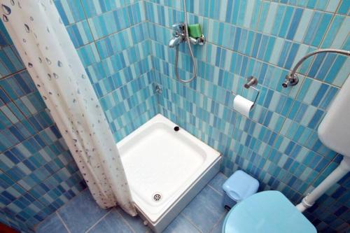 a blue tiled bathroom with a shower and a toilet at Room Šolo in Sumartin